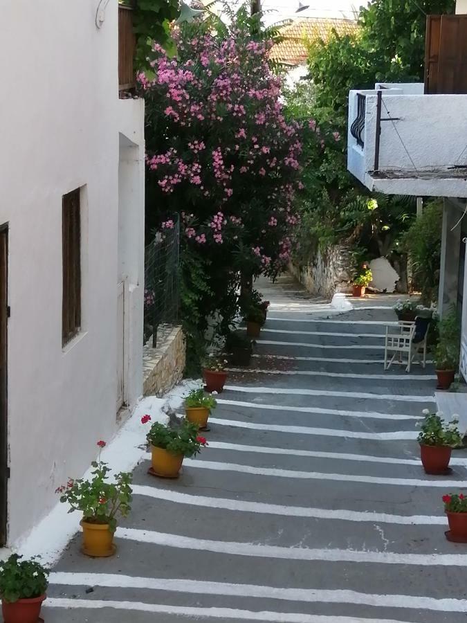 Mary&Nick Apartment Limenaria (Thasos) Exterior foto
